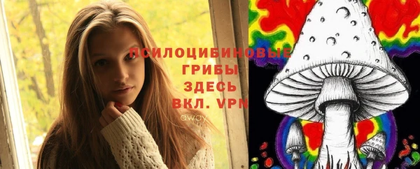 apvp Вуктыл