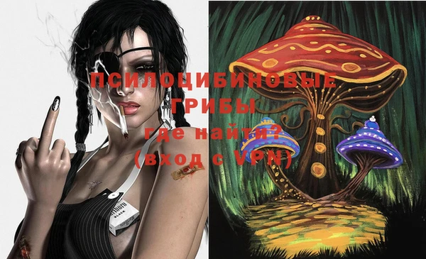 ALPHA PVP Няндома